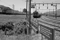 SBB: Während die Re 420 275-0 mit einem gemischten Güterzug im RB Biel auf die baldige Abfahrt wartet, braust auf der Hauptstrecke Biel-Olten ein langer Postzug mit der Re 420 319-6 ab Daiens zum Postverteilzentrum Härkingen. Besondere Beachtung gilt dem Flügelsignal rechts im Bild. Fotostandort grüne Wiese, Bildausschnitt Fotoshop. Dieser Gegenlicht-Schnappschuss ist am 7. Mai 2018 entstanden.
Foto: Walter Ruetsch