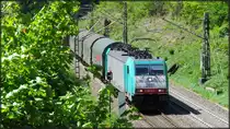 Grüntöne überwiegen zur Zeit am Gemmenicher Tunnel an der Montzenroute bei Aachen. 
Auch die belgische Cobra (2831) passt sich samt Güterfracht den Naturfarben an. Szenario bildlich festgehalten am 05.Mai 2018. 