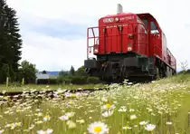 Blümchen gefällig ??? 
1700.1 in Wies Eibiswald am 15.05.2018