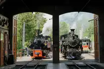 50 Jahre «Museumsbahn Blonay-Chamby»
1968 bis 2018
MEGA STEAM FESTIVAL VOM 19. MAI 2018
Verschiedene Impressionen von Chaulin-Museum.
Die G 2x 2/2 105, 1918 SEG und die Gastlok HG 3/4 4, 1913 FO.
Foto: Walter Ruetsch 
