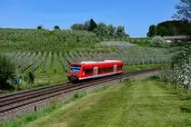 Genau die richtige Länge für das Motiv in den blühenden Apfelplantagen bei Bodolz wies der Regio-Shuttle 650 102 auf. Am 22. April 2018 war dieser als RB 22831 von Aulendorf nach Lindau HBF unterwegs. 