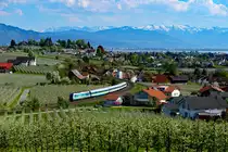 Ende April 2018 ergab sich aufgrund der Witterungslage die besondere Konstellation, dass in der Bodenseegegend Apfel- und Birnbäume gleichzeitig blühten. Dieses Naturschauspiel wollte ich mir natürlich nicht entgehen lassen, zumal in näherer Zukunft einschneidende Änderungen zu erwarten sind. Die Oberleitungsmasten werden im Rahmen der Elektrifizierung kommen und künftig wird eine Lärmschutzwand das hier gezeigte Motiv entwerten. Am 22. April 2018 war die Welt noch mehr als in Ordnung, er herrschte zwar eine gewisse Bewölkung vor, allerdings war die Fernsicht gut. So konnte man aus den Apfelplantagen bei Bodolz heraus einen wunderbaren Blick auf Lindau und den Bodensee genießen, im Hintergrund grüßen Bregenz und die Berge des Montafons. Der ALX 84143 - geführt von 223 068 - liegt schon besser im Licht als der vorher fotografierte EC.