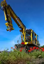 Der Klatschmohn verfolgt mich in den letzten Tagen,... 
Hier wartet ein 2 Wege Bagger auf weitere Arbeit im Bahnhof Frauental Bad Gams 
22.05.2018