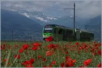 Mohnblumen! Alles andere war nebensächlich und somit auch unschaft. 
24. Mai 2018