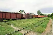 Am 14.05.2018 fährt dieser DB Schenker Güterzug bei Valeni de Munte durch die rumänische Botanik.
Die Weichen sowie das Ausfahrtssignal müssen hier immer direkt vor Ort verstellt werden.