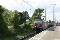 # Roisdorf 54
Die 187 537 der HSL mit einem Kesselzug aus Köln kommend durch Roisdorf bei Bornheim in Richtung Bonn/Koblenz.

Roisdorf
01.05.2018