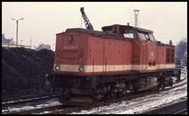 Harzkamel 199870 am 19.2.1994 im BW Wernigerode.
