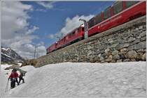 Bernina Express 976 nach St.Moritz mit den beiden ABe 4/4 III 52  Brusio  und 55  Diavolezza  kurz vor Ospizio Bernina.Auf dem Wanderweg entlang des Lago Bianco liegt stellenweise noch ziemlich viel Schnee. (30.05.2018)