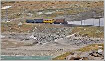 Extrazug mit dem Berninakrokodil Ge 4/4 182 am Lago Bianco unweit der Station Ospizio Bernina 2253m. (30.05.2018)