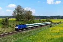 Als letztes Bild des Tages - die Bewölkung nahm stark zu - gelangte dann noch die an die Länderbahn vermietete ER 20-001 mit dem ALX 84138 nach Lindau mit Zugteil nach Oberstdorf auf die Speicherkarte. Bei Aitrang eilte der Zug durch die blühenden Löwenzahnfelder (25. April 2018).
