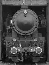 Die Dampflokomotive CFL 5519 Anfang April 2017 in Dresden-Altstadt.