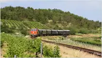 Die blutorange Diesellok 2143 070 fährt mit dem Reblaus Express 16974 von Retz nach Drosendorf, hier eine Teleaufnahme in den Weinbergen nahe Retz. 
3.6.2018