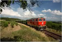 Durch die Weinberge nahe Retz, fährt die blutorange Diesellok 2143 070 fährt mit dem Reblaus Express 16974 von Retz nach Drosendorf. 
3.6.2018