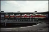 Am 7.4.1994 gab es im BW Oebisfelde noch einmal eine hausinterne 219er Parade!