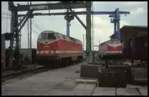 219198 und 219042 am 7.4.1994 im BW Oebisfelde.