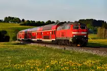 Die Zeit der lokbespannten Züge im Allgäu läuft unweigerlich ab, ebenso die der Baureihe 218 im aktiven Dienst. Deswegen war mir am Abend des 27. April 2018 als Abschluss eines recht erfolgreichen Foto-Ausfluges die 218 497 eine fahrzeugorientierte Aufnahme wert. Sie bespannte die RB 57444 nach Kempten HBF und hat am Aufnahmeort Görwangs bald ihr Ziel erreicht. Hergestellt bei MaK in Kiel startete die Lok im Mai 1979 ihre Karriere in Lübeck und blieb bis ins Jahr 2000 im hohen Norden. Nach Zwischenstationen in Kaiserslautern, Darmstadt und Frankfurt-Griesheim ist sie nun seit 2015 in Kempten beheimatet. 