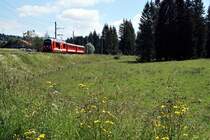 Chemins de fer du Jura, CJ.
Sommeridylle vom Jura.
Fotografiert am 23. Juni 2018 bei Pré-Petitjean.
Foto: Walter Ruetsch 
