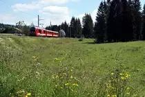 Chemins de fer du Jura, CJ.
Sommeridylle vom Jura.
Fotografiert am 23. Juni 2018 bei Pré-Petitjean.
Foto: Walter Ruetsch 

