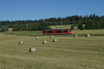 Chemins de fer du Jura, CJ.
Sommeridylle vom Jura.
Fotografiert am 23. Juni 2018 bei Pré-Petitjean.
Foto: Walter Ruetsch 
