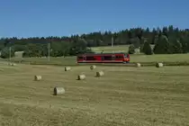 Chemins de fer du Jura, CJ.
Sommeridylle vom Jura.
Fotografiert am 23. Juni 2018 bei Pré-Petitjean.
Foto: Walter Ruetsch 
