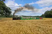 Ein wahrliches  Bett im Kornfeld  findet 764.411 zwischen Neudorf und Herbersdorf Ölmühle.
23.06.2018