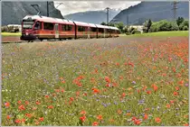 Fast wie ein Gemälde. S1 1519 mit ABe 4/16 3104 bei Bonaduz. (05.06.2018)