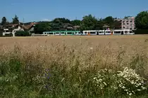 LEB la ligne verte:
Zug 242 mit Doppeltraktion RBe 4/8 noch in sehr ländlicher Gegend bei Le Lussex auf der Fahrt nach Lausanne am 27. Juni 2018.
Bereits in 13 Minuten wird als U-Bahn die Gross-Stadt Lausanne mit 145'000 Einwohner erreicht.
Foto: Walter Ruetsch
