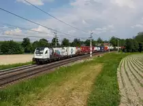 Die 1216 955 mit einem KLV-Zug am 13.05.2018 unterwegs bei Kimpling.