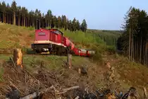 Auf Wunsch vieler Fotografen und unseres Reiseleiters, drückt 199 861 ihren Sonder-GmP am 21.04.2018 ein zweites Mal zurück, damit die Vorbeifahrt an der Windbruchstelle Drängetal auch aus einer anderen Perspektive festgehalten werden kann.