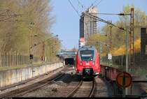 Fahrzeugwechsel auf der S7: Drei gebrauchte Hamster aus dem Rheinland...
Nachschuss auf 442 103 (Bombardier Talent 2) der S-Bahn Mitteldeutschland (DB Regio Südost) als S 37722 (S7) von Halle(Saale)Hbf Gl. 13a nach Halle-Nietleben, die den Hp Halle Zscherbener Straße auf der Bahnstrecke Merseburg–Halle-Nietleben (KBS 588) verlässt. [14.4.2018 | 10:38 Uhr]