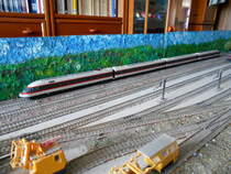 Viel Länge auf meiner H0 Anlage brauchte ich,um den Lima 403 005/006 zufotografieren.Aufnahme vom 01.Juli 2018.