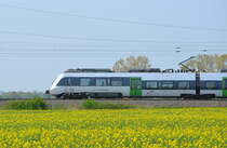 Talent2 1442 703-3 S-Bahn Mitteldeutschen S4 Eilenburg - Wurzen in Jessewitz bei Leipzig 22.04.2018
