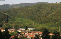 TER31834 (Strasbourg-Saales) mit Schublok 67603 bei Schirmeck 29.6.18