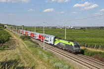 CAT 1016.014 auf Abwegen mit einen Reg.auf der Südbahn,bei Pfaffstätten am 3.7.18