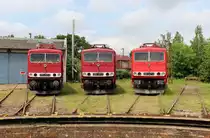 Vom 02.-03.06.18 fand beim TEV Weimar ein kleines DR E-Lok Treffen der Baureihe 250 statt. Ich war am 02.06.18 vor Ort und nutzte eine Wolkenlücke. Zu sehen waren 250 250-8 (TEV), 250 137-7(LEG) und 250 247-4 (LEG).
