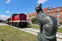 Lok 204 271 mit einem Sonderzug von Greifswald Hbf nach Greifswald Ladebow im Museumshafen Greifswald. - 15.07.2018
