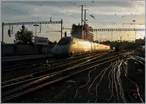Im letzten Sonnenlicht verlässt der FS ETR 610 003 als EC 36 von Milano nach Genève den Bahnhof von Lausanne.
Und wenn man genau hinschaut erkennt man im Hintergrund einen abgestellten TGV und eine Re 4/4 II.
9. Juli 2018