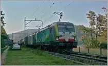 Die BLS Re 475 412 und eine weitere fahren im Schatten mit einem via Alte Hauensteinlinie umgeleiteten Güterzug Richtung Sissach. Der Zug fährt gerade durch den Bahnhof Sommerau und wird in Kürze eine Stelle erreichen die sich  Gotthard  nennt. 
18. Juli 2018