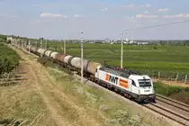 AWT 183.719 fährt mit ihren Kessel-GAG durch die Weinberge bei Pfaffstätten. 19.7.18