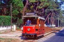 Sintra 1, Colares, 14.09.1991.
