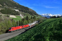 1016 004 + 1016 006 mit einem KLV am 21.04.2018 bei Mühlbachl. 