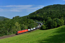 1116 097 mit einem Autozug am 26.08.2017 bei Eichberg. 