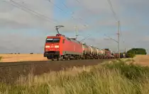 152 147 führte am Morgen des 27.06.18 einen gemischten Güterzug durch Niederndodeleben Richtung Magdeburg.