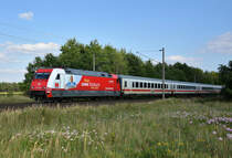 Intercity mit der 101 076-8  CEWE Fotobuch  in Front, unterwegs in Richtung Hamburg. 3km östlich von Büchen, 23.07.2018