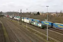 Wiener Lokalbahnen Cargo 193 223 // Bahnhof Rheinhausen //  09.03.2018