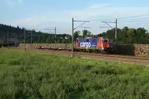 SBB CARGO.
Re 420 276-8 mit einem kurzen Leermaterialzug bei Roggwil unterwegs am 30. Juli 2018.
Foto: Walter Ruetsch