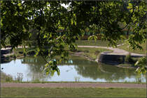 Ein Pantograf im Wasser -

Unauffällig bewegt sich ein Stadtbahnzug der Linie U14 durch den Park bei den Stuttgarter Mineralbädern. Hinter den Zweigen und durch das Gegenlicht ist die Bahn kaum wahrnehmbar, erst die Spiegelung gibt einen Hinweis auf ihr Vorhanden sein.

Die letzte Gans ist noch im Wasser, die Wasseroberfläche hat sich beruhigt und die Spiegelung wird deutlicher als beim anderen Bild.

31.07.2018 (M)