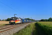 182 560 mit DGS 40649 am 31.07.2018 bei Niedermünchsdorf. 