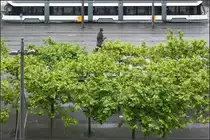 Albatros am Bolivarplaats, Kunstversion - 

Eine minimalistische Variante mit gewagten Schnitt entlang der Dachkante der Straßenbahn.

Eine Albatrostram quert auf der Linie 4 den Bolivarplaats in Antwerpen.

20.06.2016 (M)