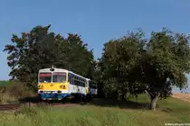 810 368-1 mit BDtax 29 039-4 am Os 11765 Domažlice - Janovice n.Úhlavou unterwegs bei Spáňov, 29.07.2018